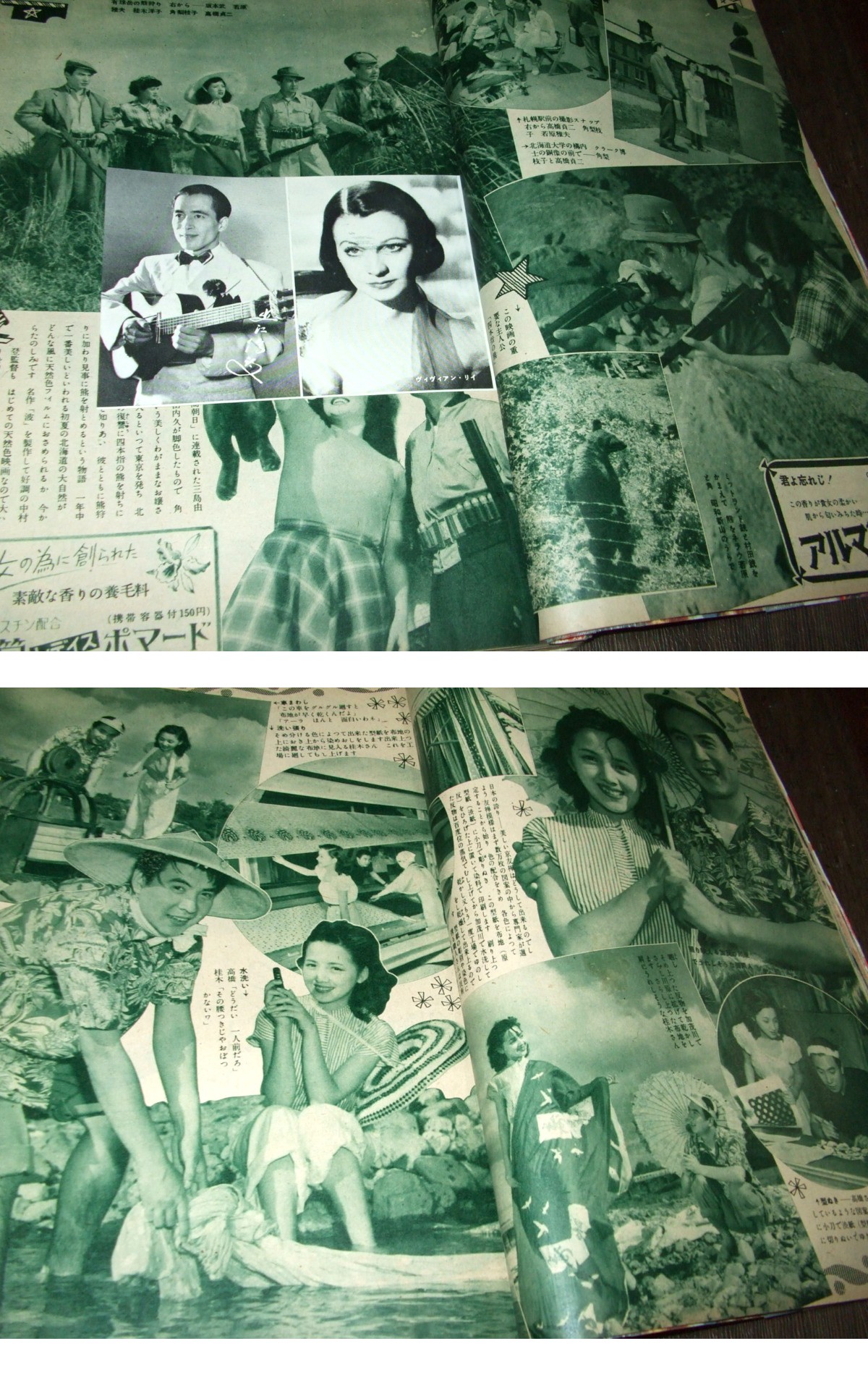 此商品圖像無法被轉載請進入原始網查看