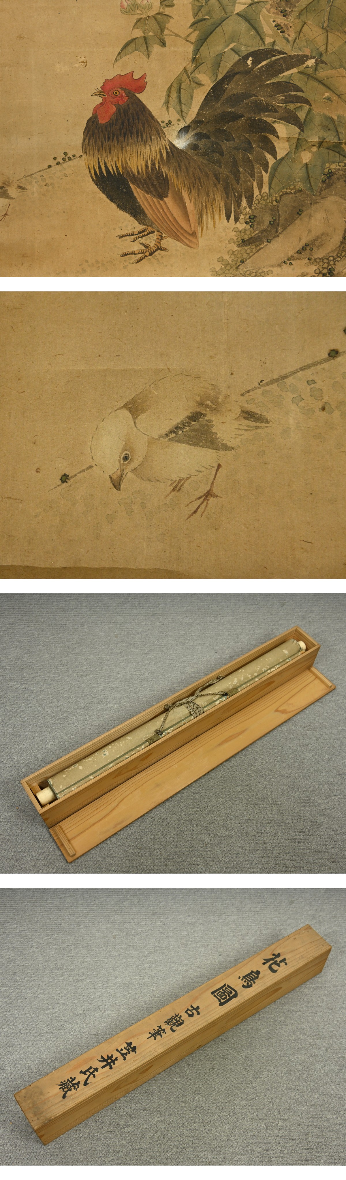 富田古観 牡丹鶏図