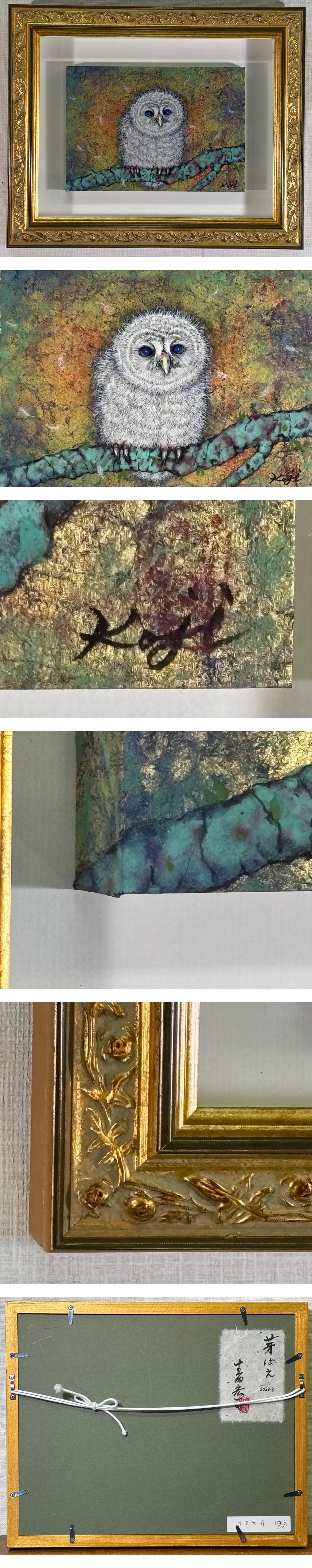 此商品圖像無法被轉載請進入原始網查看