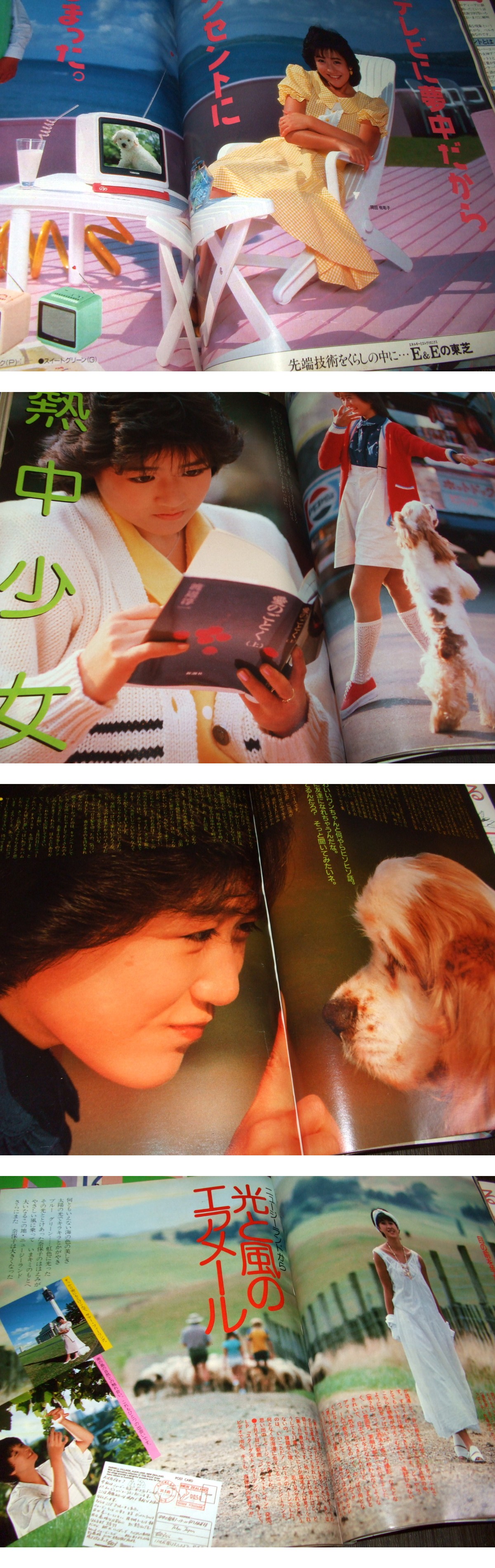 此商品圖像無法被轉載請進入原始網查看